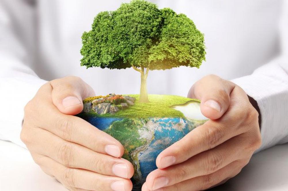 Информация о состоянии окружающей среды и об использовании природных ресурсов.